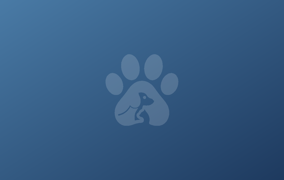 Add a photo of your team or a happy customer here