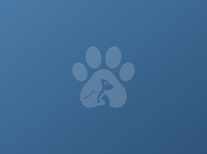 Dog grooming