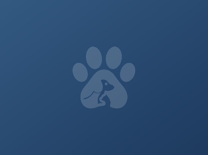 Pet sitting
