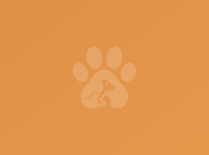 Dog walking